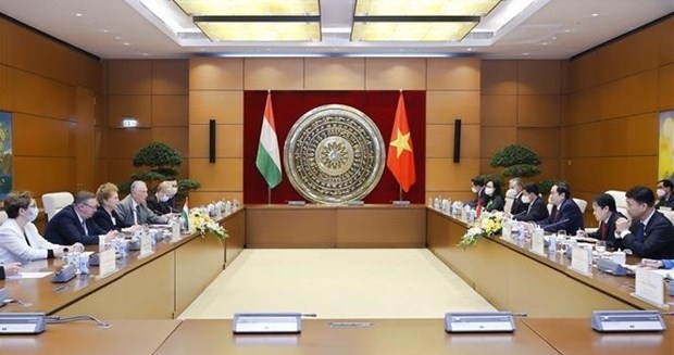 Vietnam places importance on bolstering comprehensive cooperation with Hungary